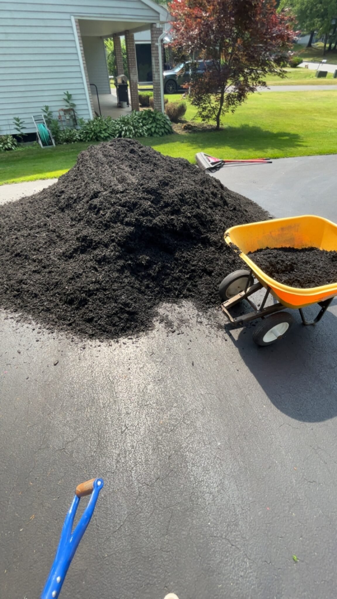 Premium black mulch pile staged with yellow wheelbarrow and shovel