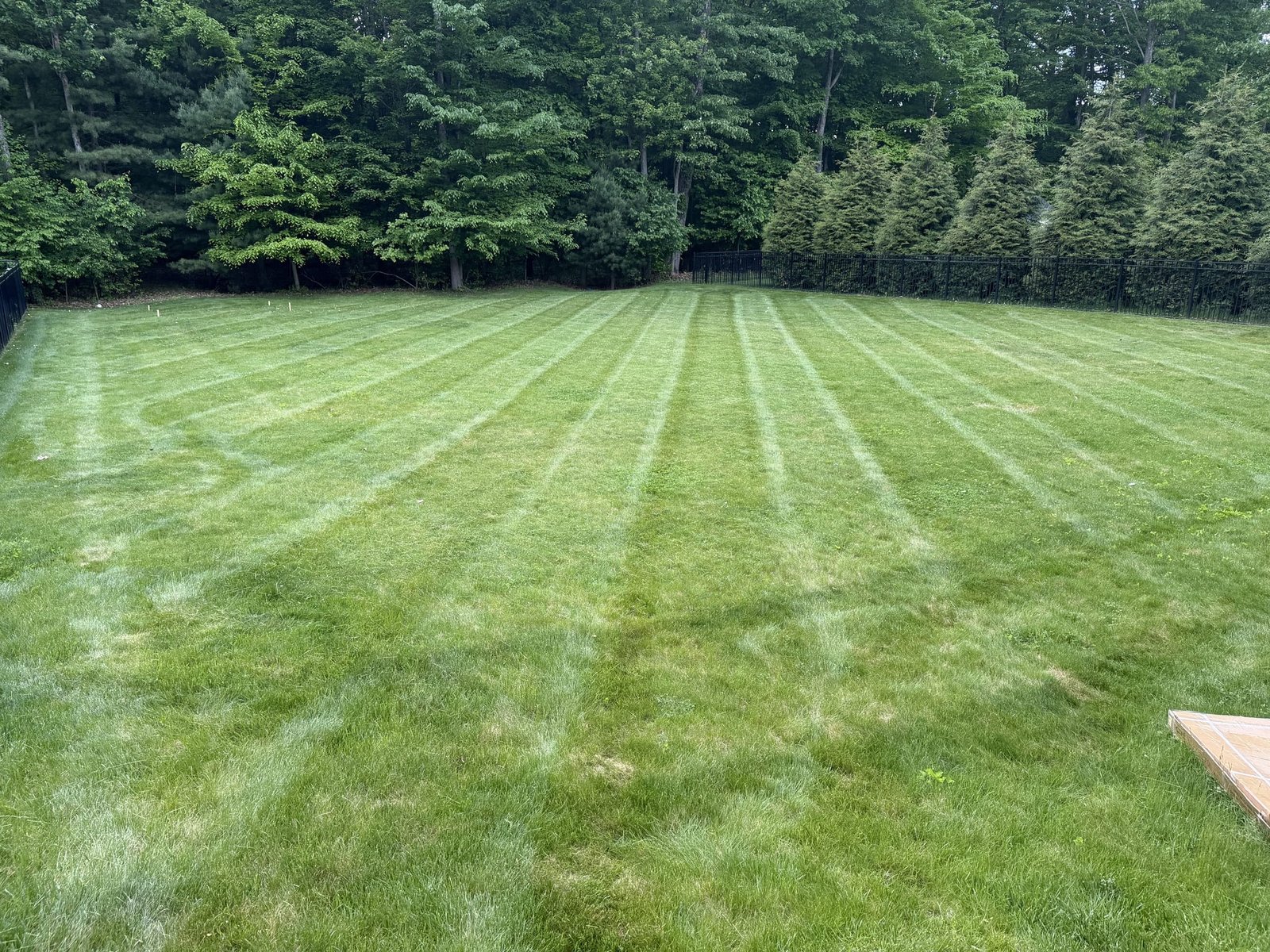Freshly mowed lawn with crisp, straight alternating stripes across a Clifton Park backyard