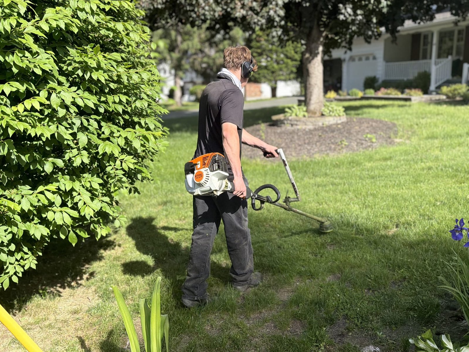 Nate trimming edges with a Stihl trimmer, ear protection on, summer sun, Clifton Park