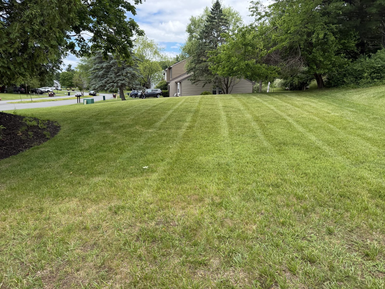 A sloped front lawn, freshly cut and tidy down to the curb.