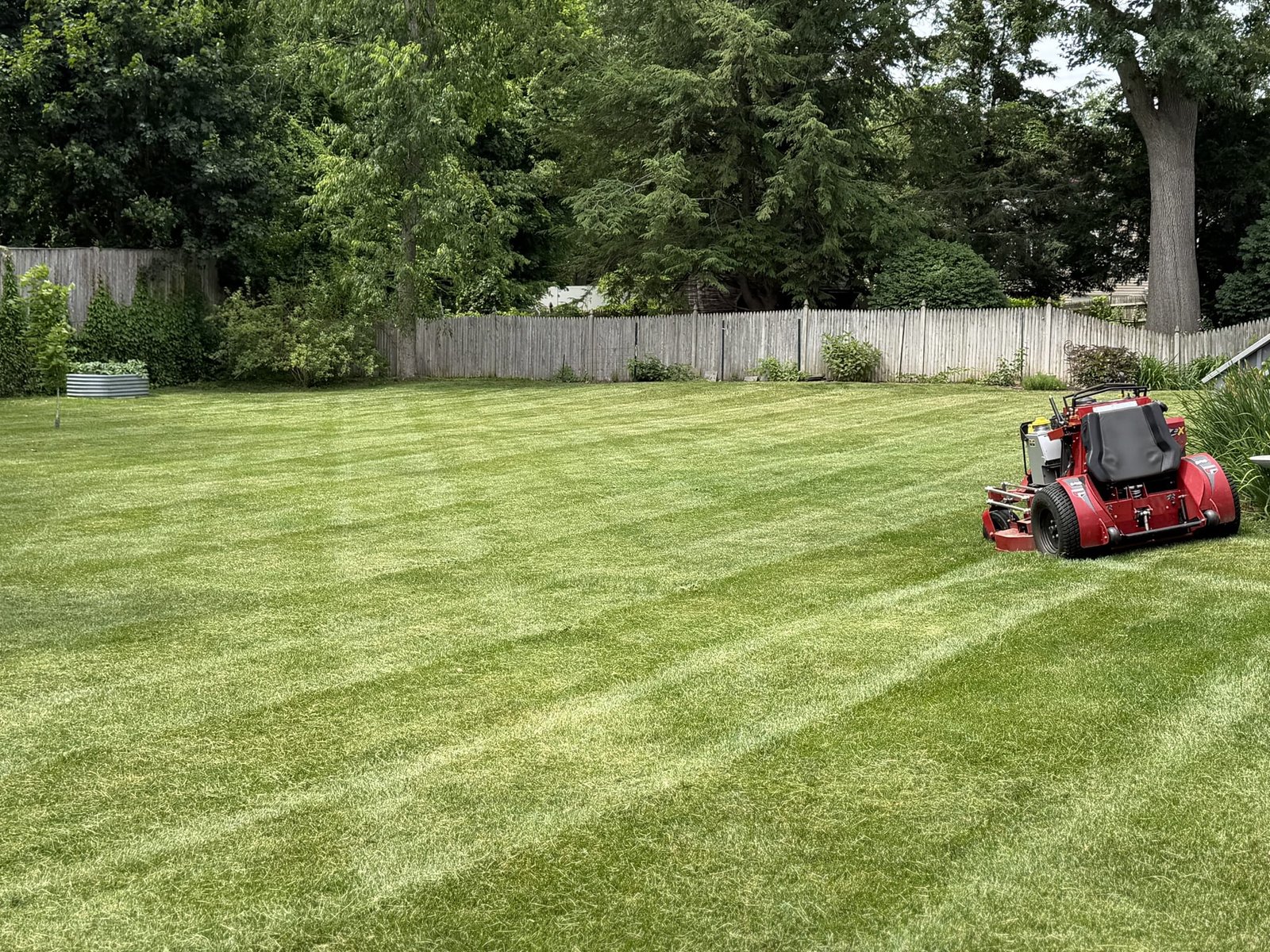 A freshly cut lawn with crisp mowing stripes in a fenced backyard.