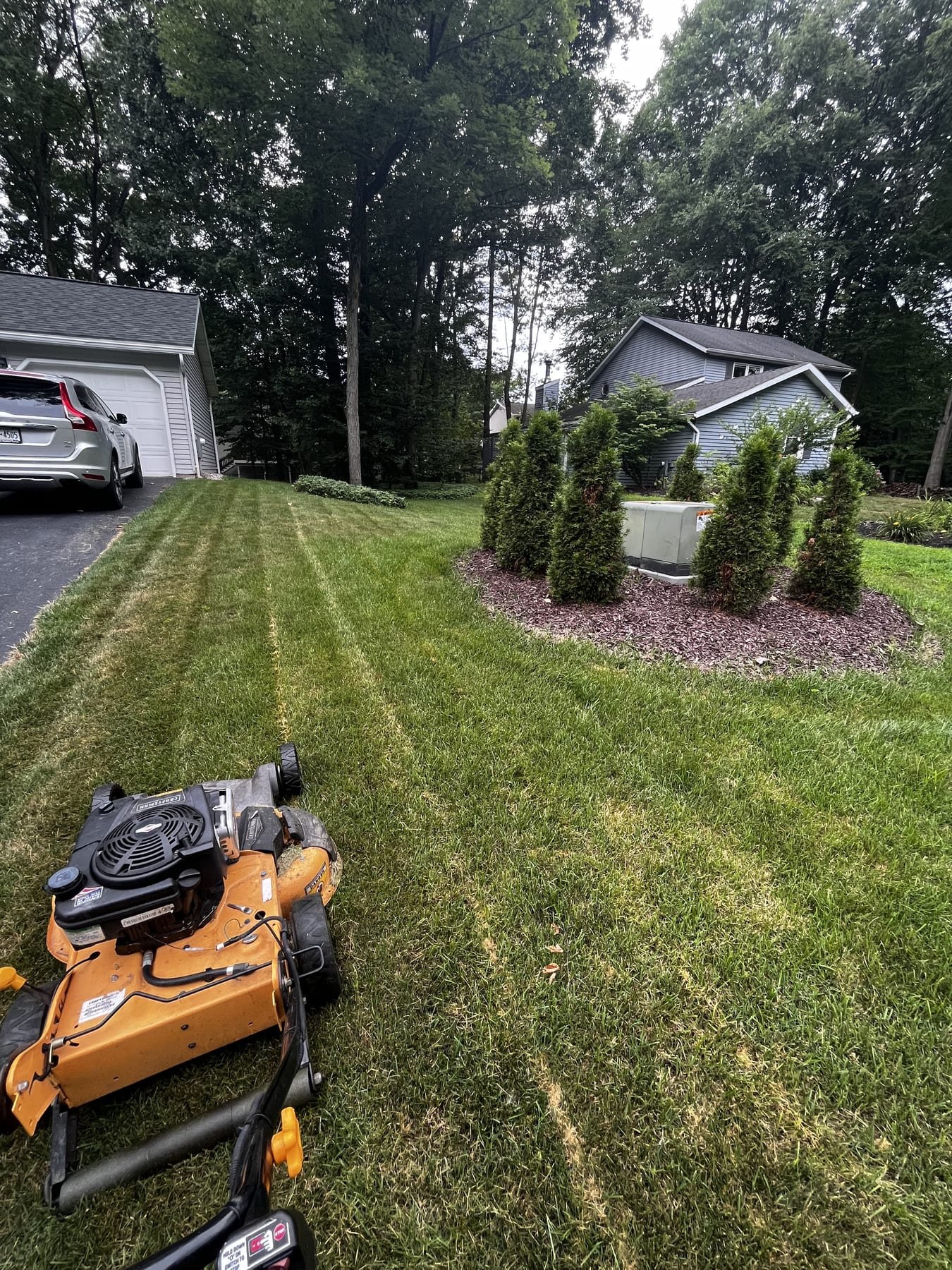 Commercial walk-behind mower parked beside a freshly striped lawn with landscaped bed
