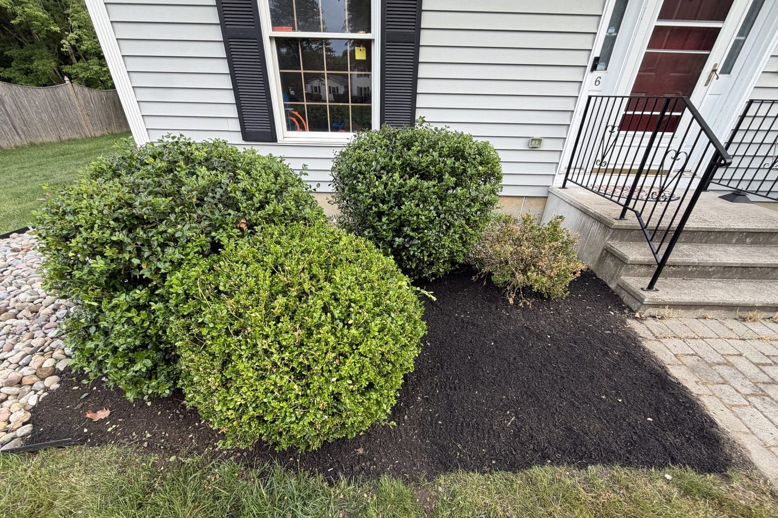 After: the same shrub bed trimmed clean and shaped, with a fresh dark mulch line along the foundation.
