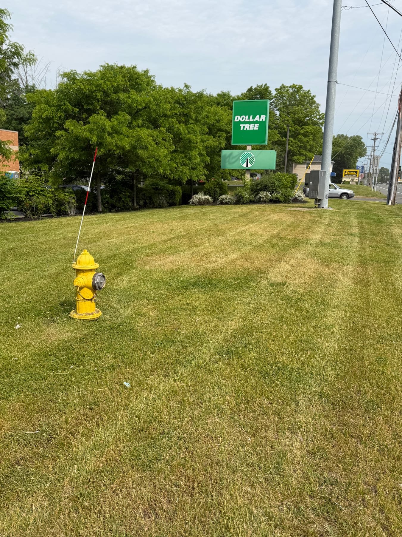 Striped commercial property lawn at a retail plaza in the Capital Region