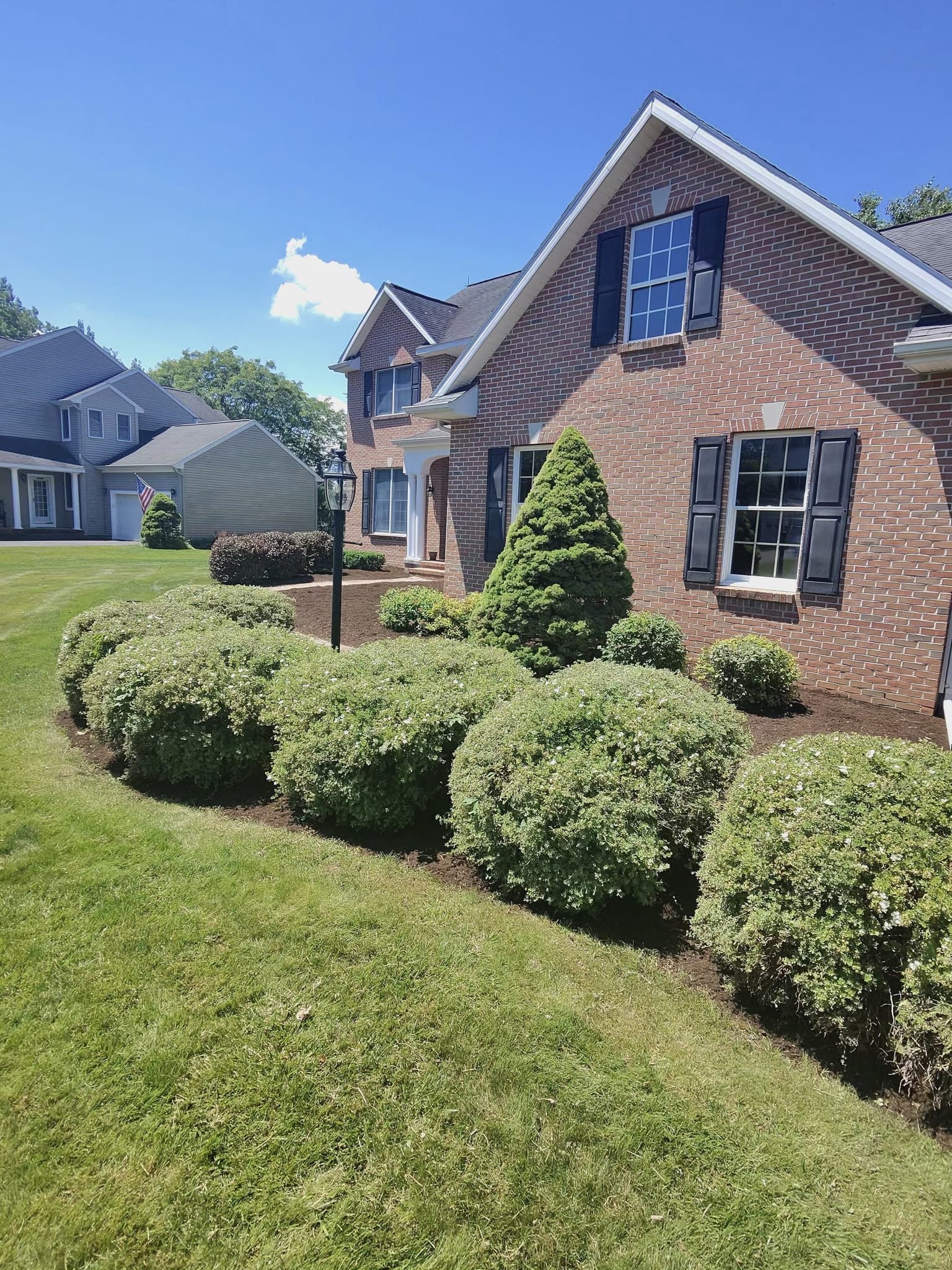A brick colonial home framed by neatly shaped shrub beds and a spiral topiary.
