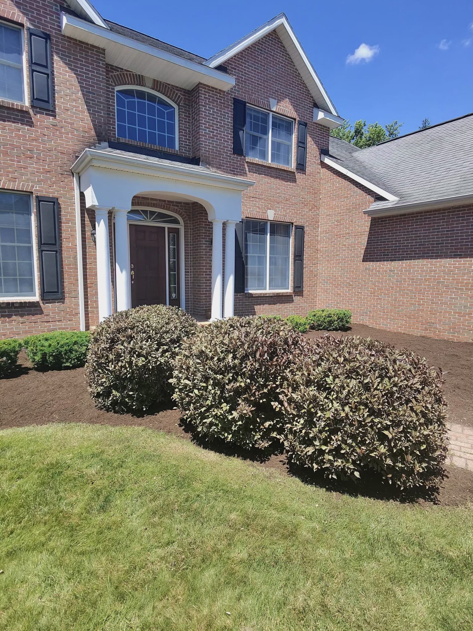 The entrance of a brick colonial framed by colorful flowering shrubs.