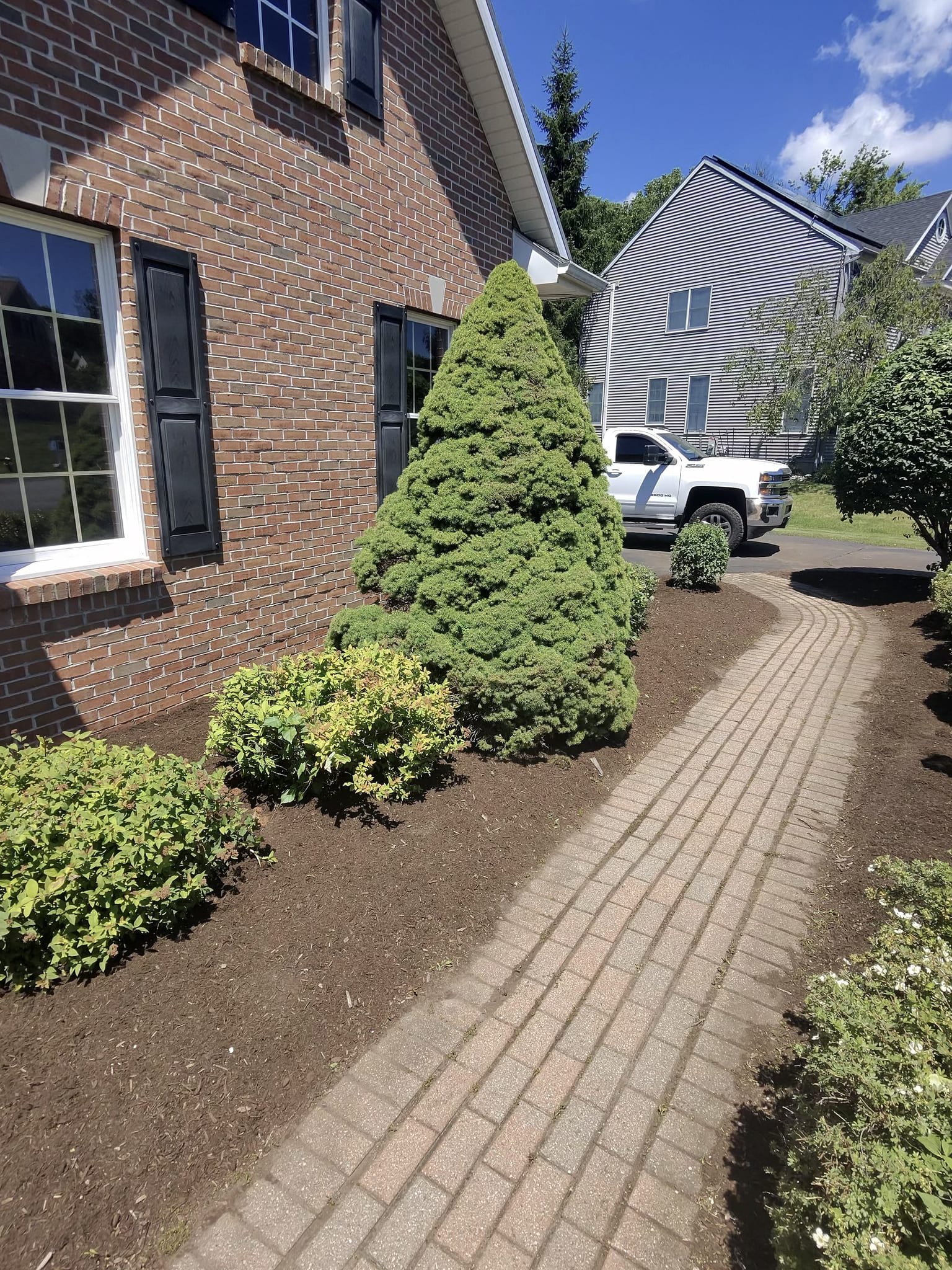 A spiral topiary beside a crisp mulch line running along a brick walkway.