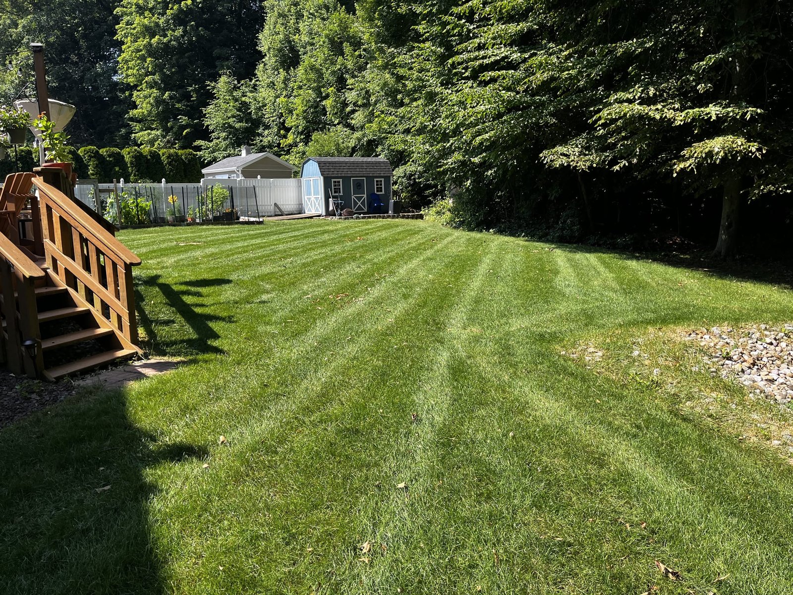 Lush striped backyard lawn beside a wooden deck and garden fence.