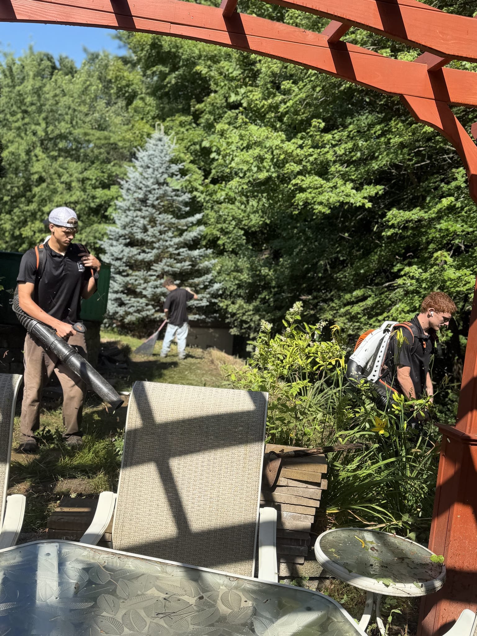 Three crew members clearing an overgrown backyard with blowers and rakes