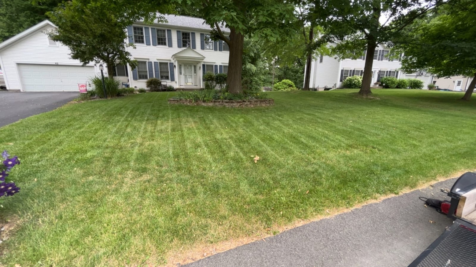 Striped front lawn of a white colonial home with blue shutters.