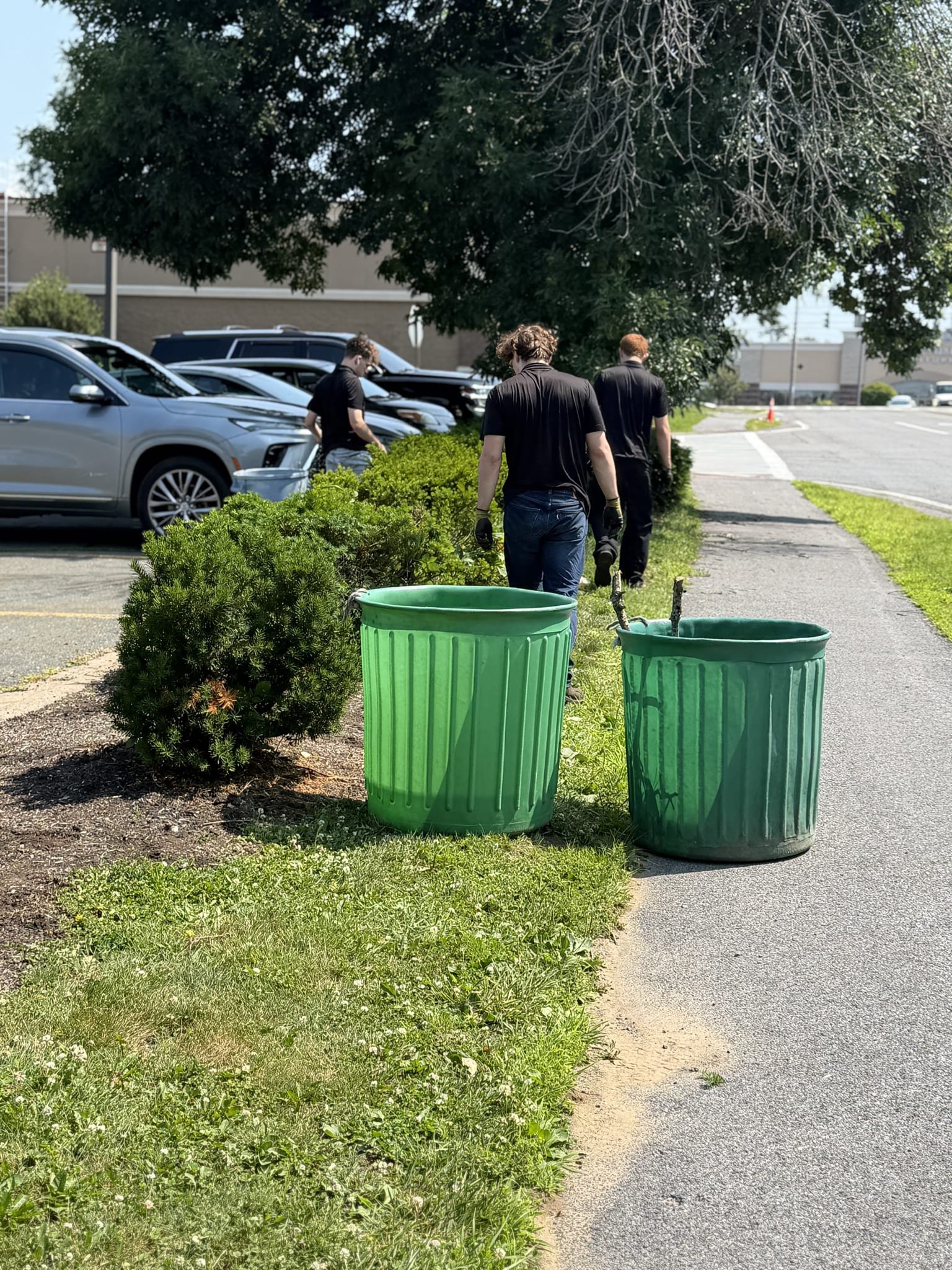 Three crew members in matching shirts trimming a long commercial hedge line