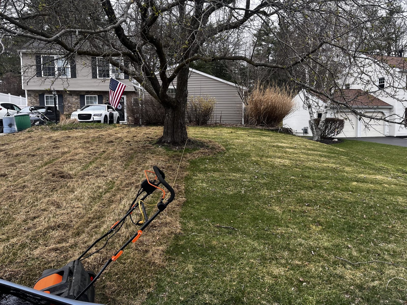 Dethatcher mid-pass across a lawn. The finished half is visibly cleaner and greener than the untouched half beside it