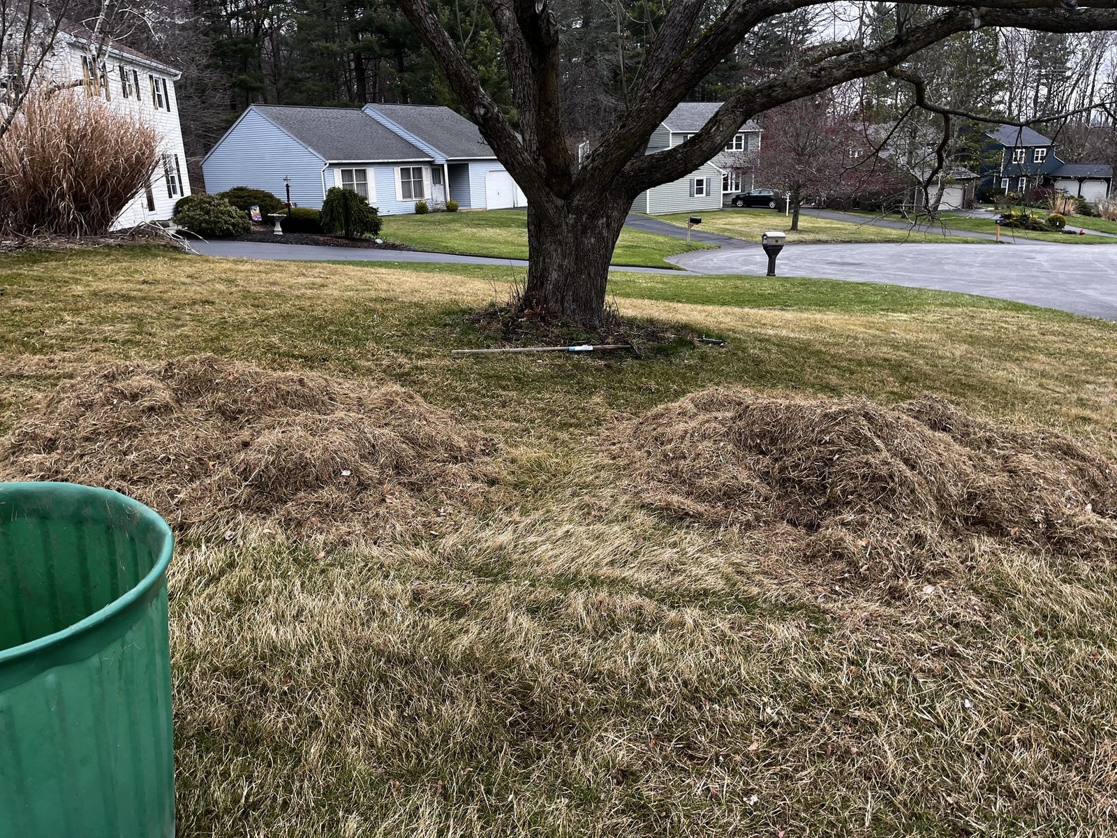 Piles of dead thatch raked out of a single lawn after one dethatching pass