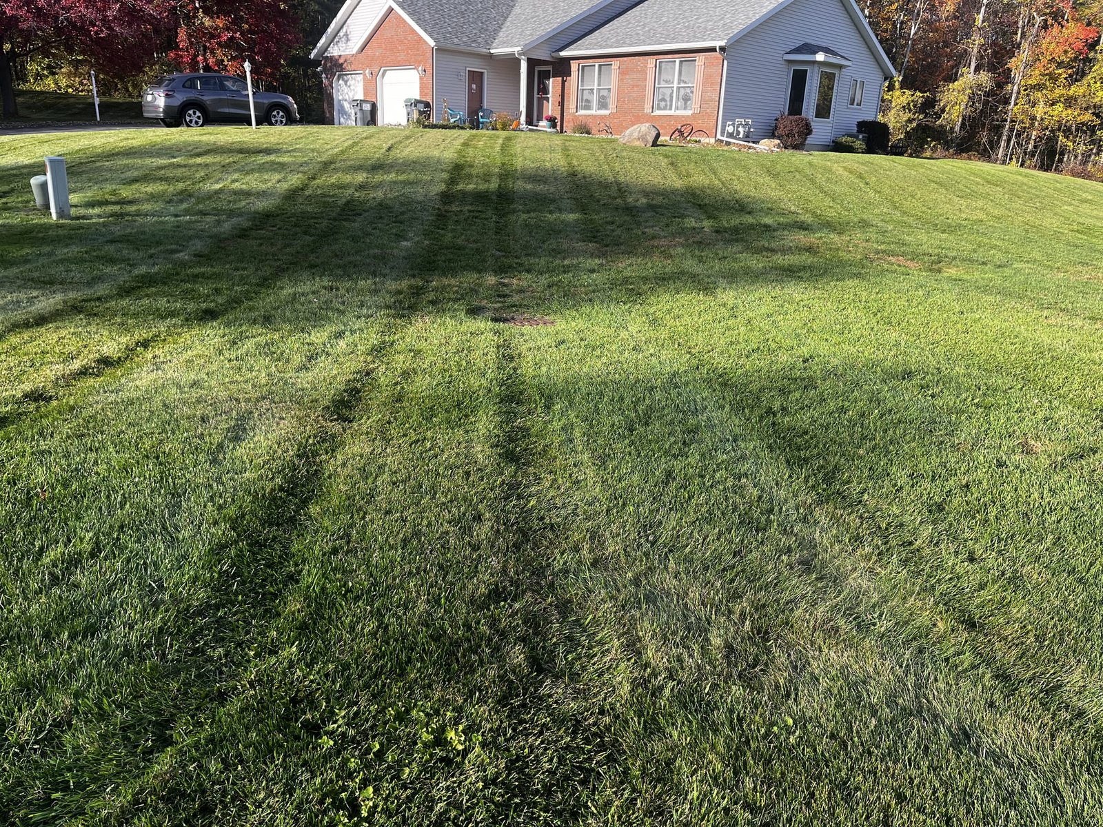 Striped lawn in fall with foliage color behind a brick ranch home.