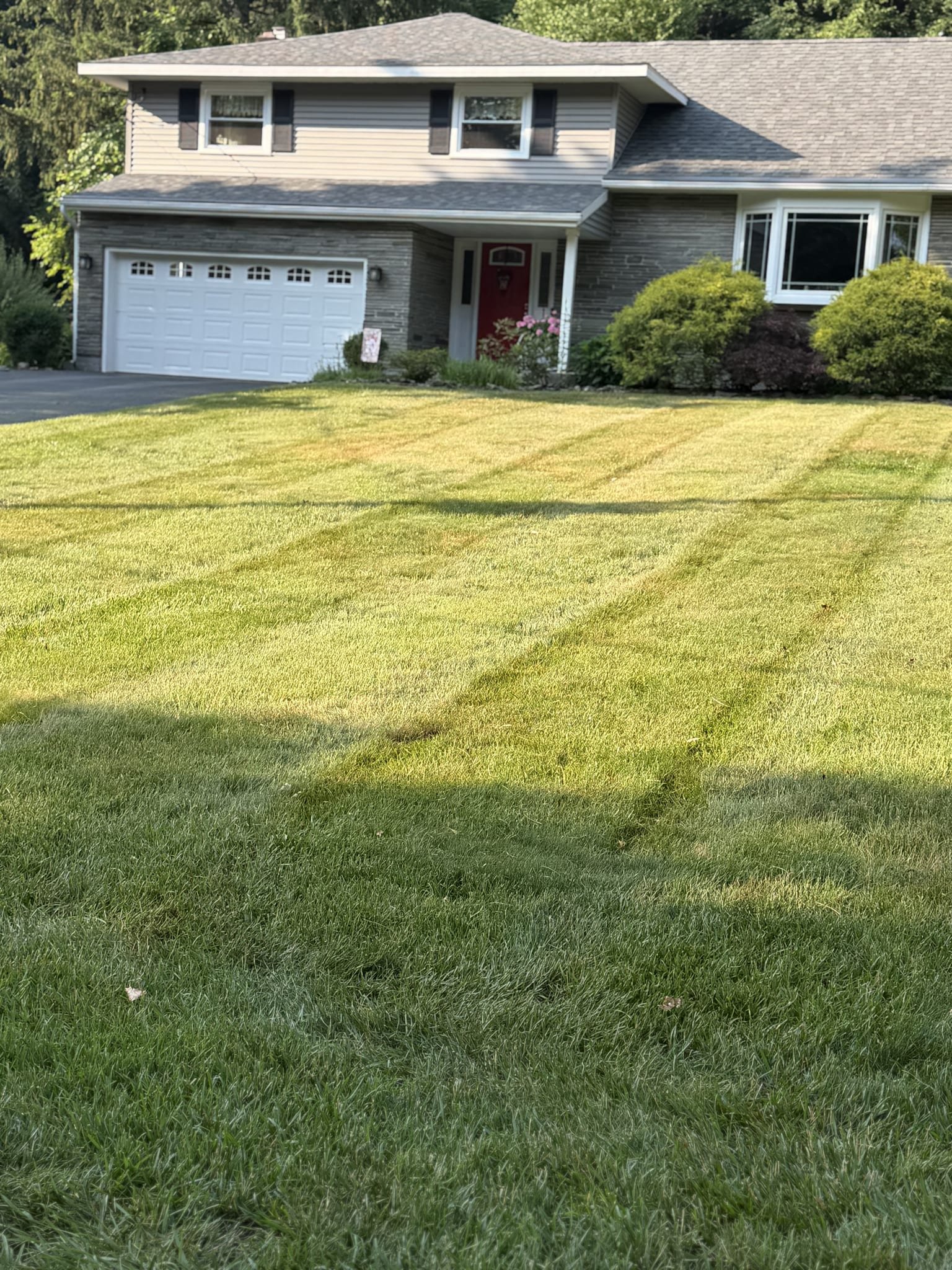 Striped front lawn at golden hour in front of a split-level home with a red door