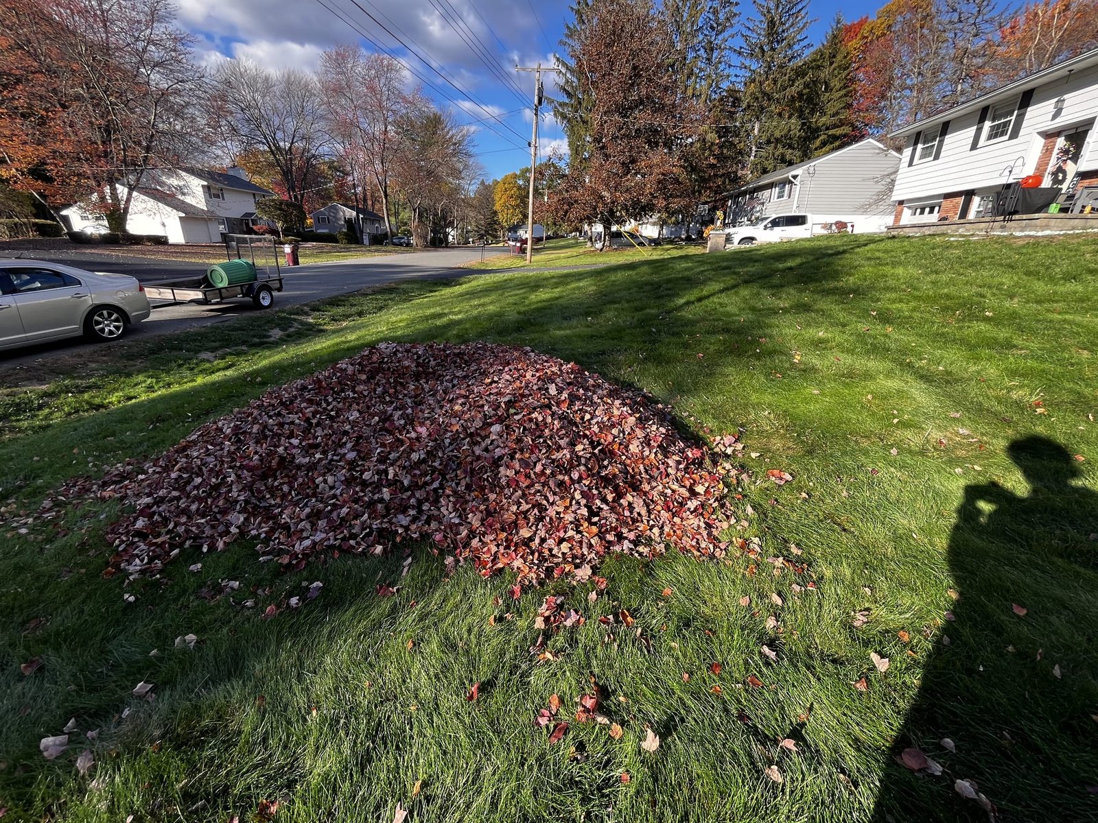 Large pile of raked leaves on a green lawn at the curb
