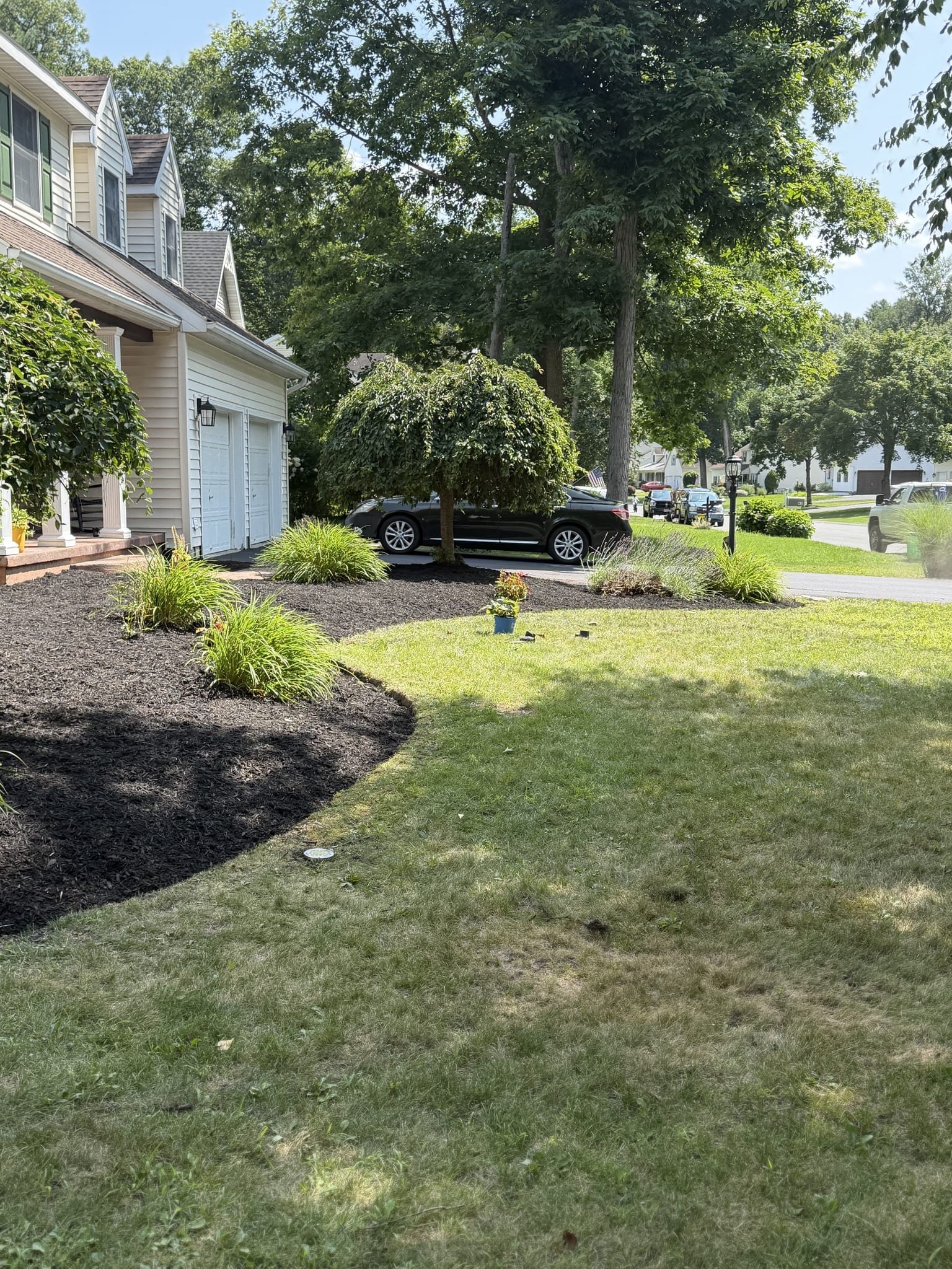 Fresh black mulch beds wrapping the front of a home with a crisp lawn edge