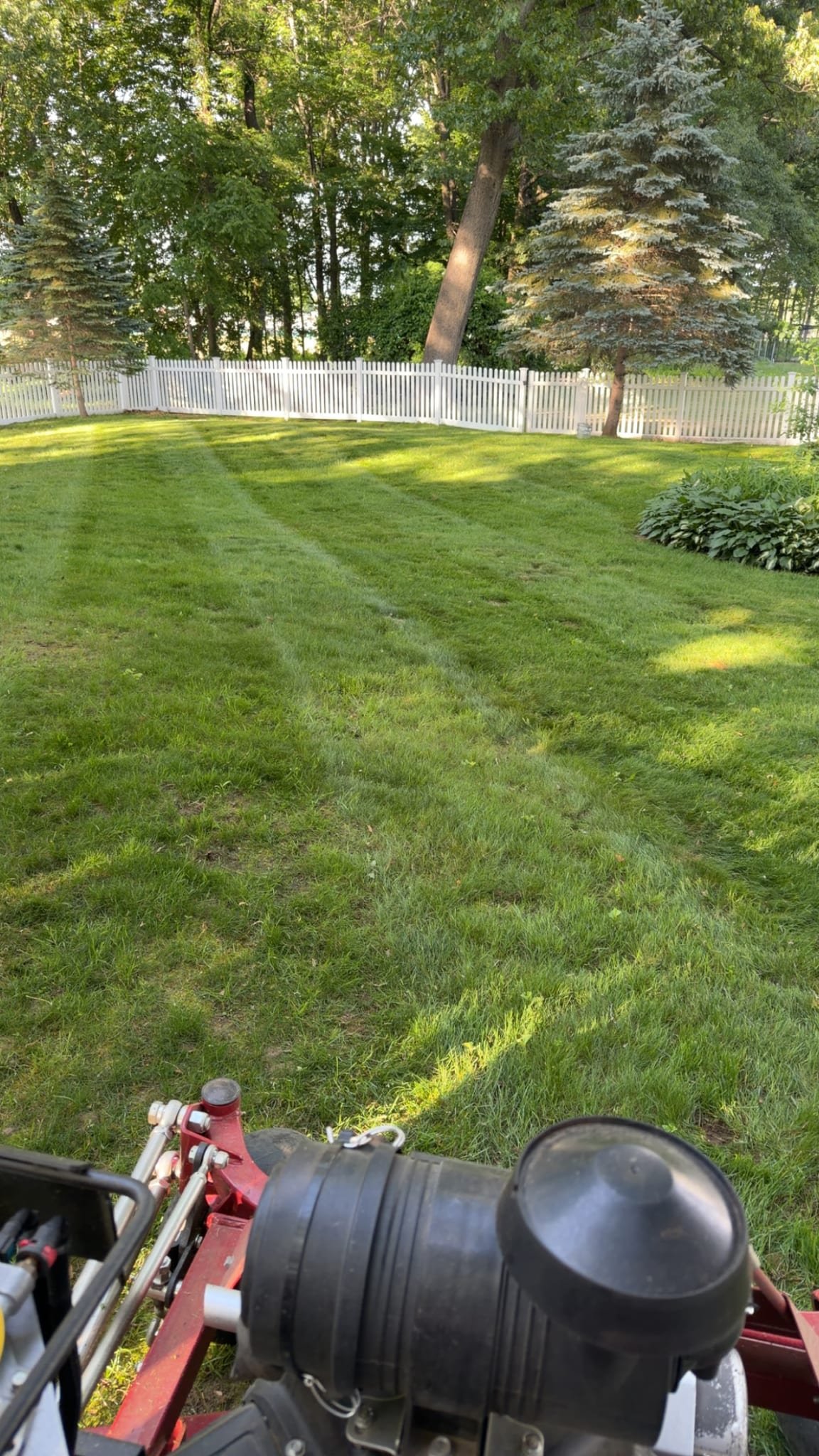 Freshly mowed backyard along a white picket fence.