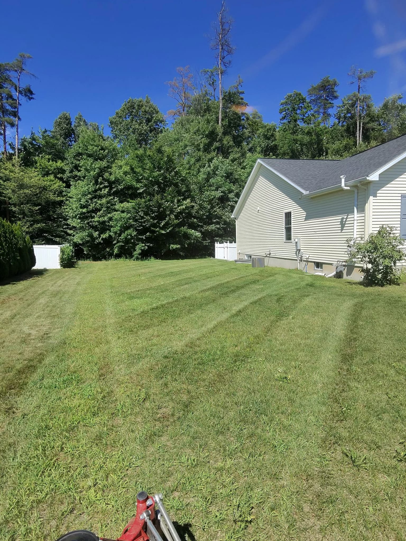 Striped side yard beside a cream ranch home
