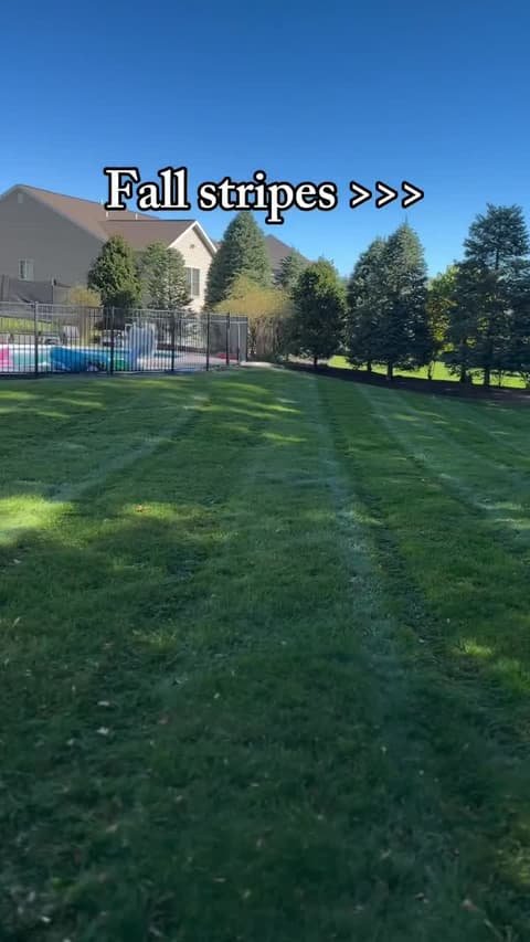 Freshly striped backyard lawn in fall