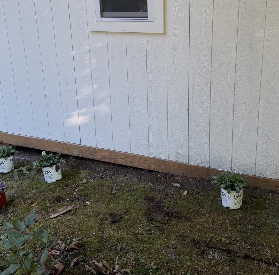 Bare mossy dirt along a shed wall with nursery pots waiting to be planted